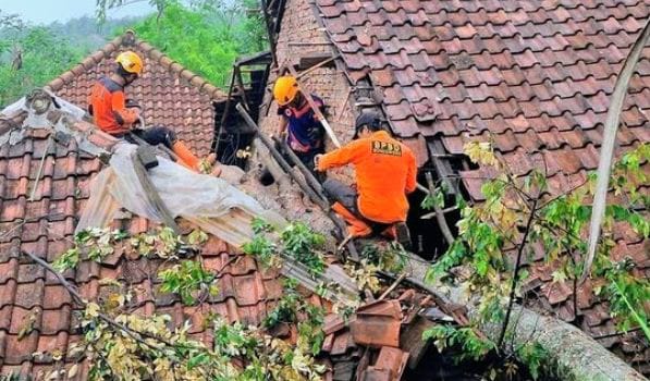 Hujan Angin Rusak Sejumlah Rumah dan Tumbangkan Pohon di Bondowoso