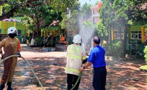Tiga Bulan Ulat Bulu Teror SDN Dabasah 4 Bondowoso, Banyak Siswa Alami Gatal-gatal 