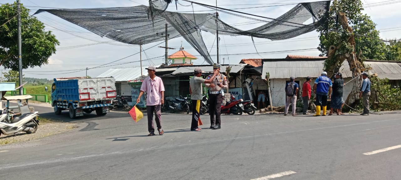 Kereta Kelinci Terguling di Gumukmas Jember, 9 Orang Alami Luka