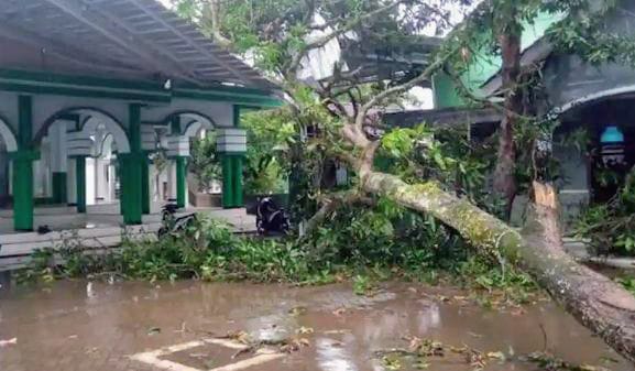 Hujan Angin Porak Porandakan Ratusan Rumah pada Delapan Kecamatan di Bondowoso