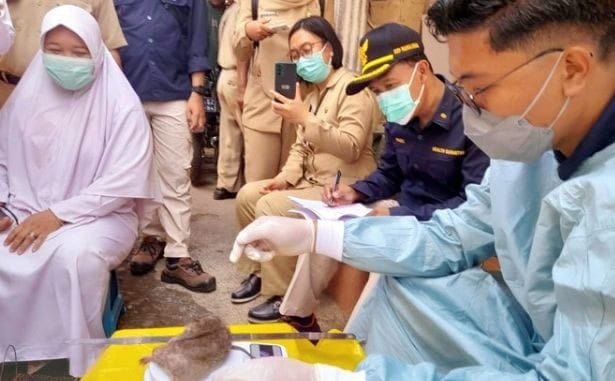 Sepanjang Januari hingga Agustus 2025, Tiga Warga Bondowoso Meninggal Terpapar Leptospirosis
