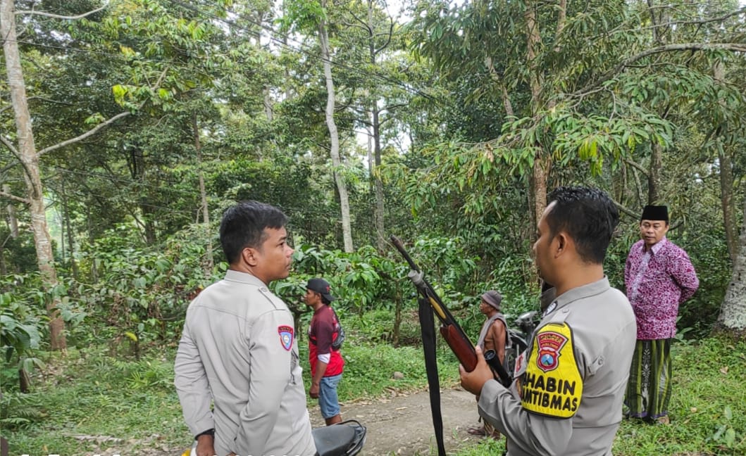 Monyet Liar Serang Warga Jember, Enam Orang Luka Akibat Gigitan