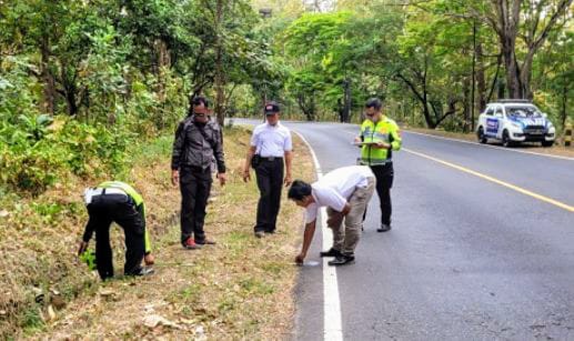 Sekeluarga Naik Motor Ditabrak Pikap di Baluran Situbondo, 2 Anak Meninggal dan Bapak Ibu Terluka