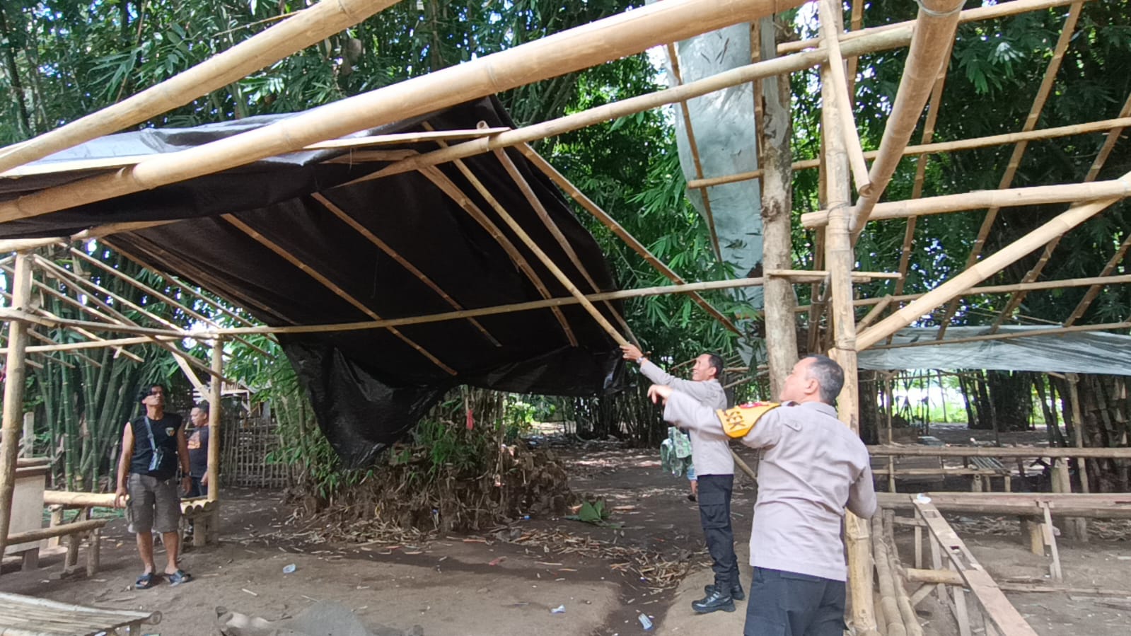Lima Lokasi Arena Sabung Ayam Dibongkar Polisi