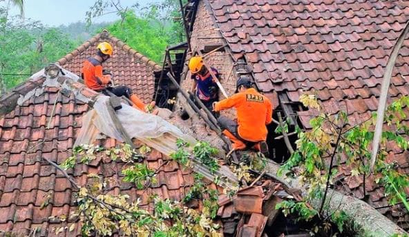 152 Bencana Landa Bondowoso Sepanjang Januari - November 2024, Didominasi Angin Kencang