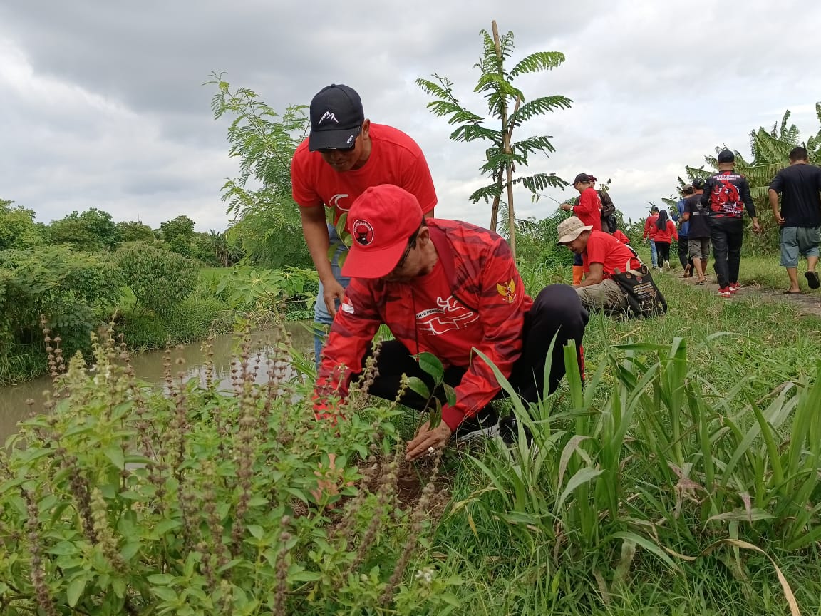 PDI Perjuangan Jember Tanam 1.053 Pohon dari Hulu ke Hilir