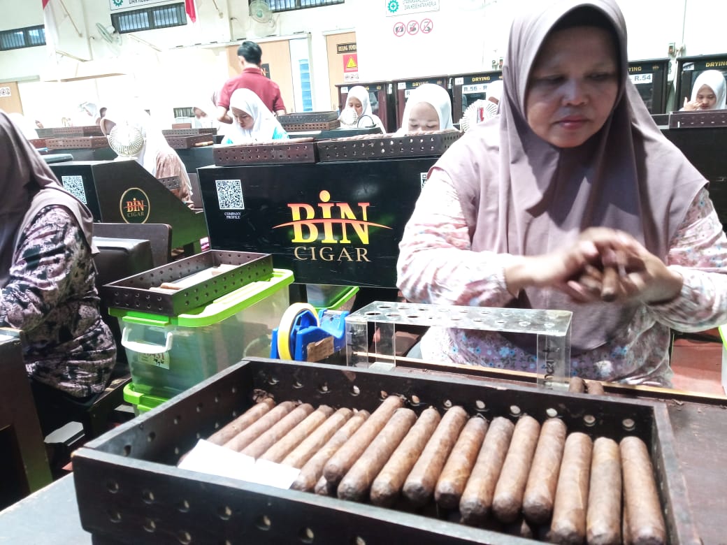 Cerutu BIN Cigar Jember Tembus 12 Negara, Penyigar Muda Indonesia Turut Pindah Produk
