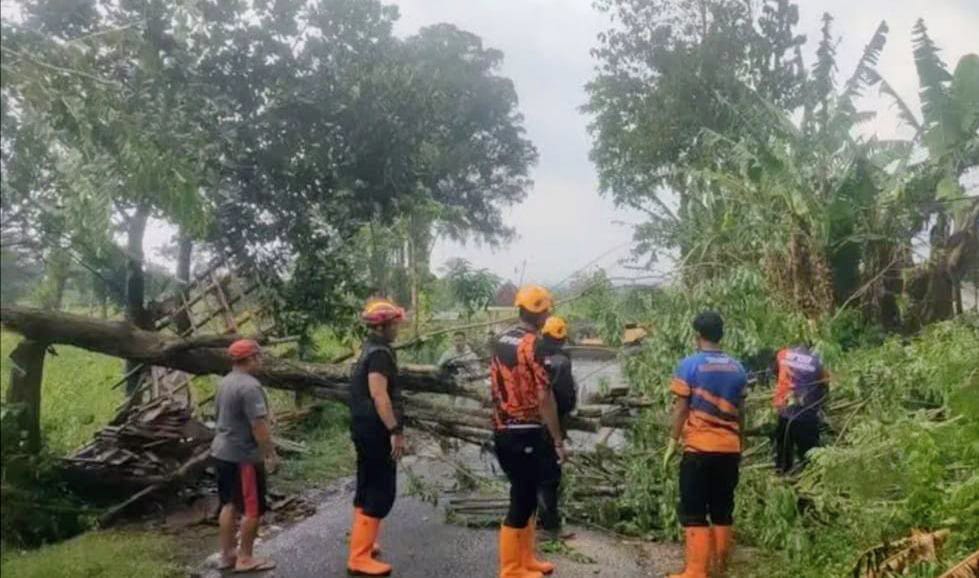 Hujan Angin Terjang Taman Krocok Bondowoso, 14 Rumah Rusak Ringan dan Pohon Tumbang