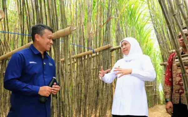 Kunjungi Bondowoso, Gubernur Khofifah Luncurkan KUR Khusus Petani Tebu Jatim