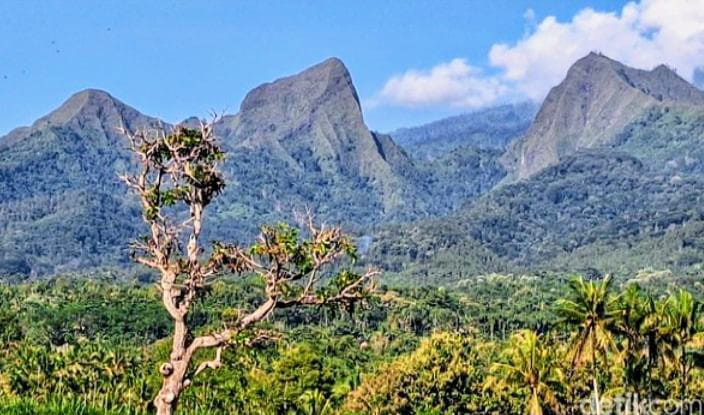 Perhutani Larang Aktivitas Pendakian Tiga Gunung di Bondowoso
