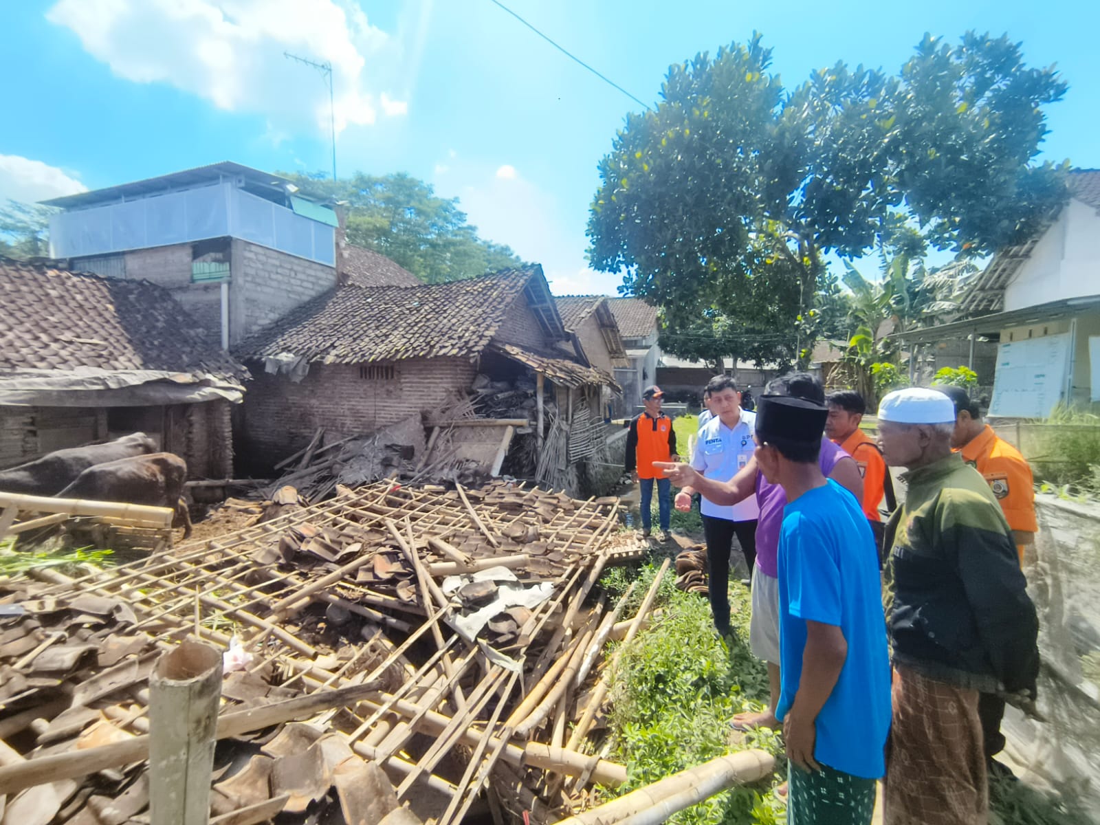 Dapur dan Kandang Sapi Ambruk, Nenek di Jember Tewas