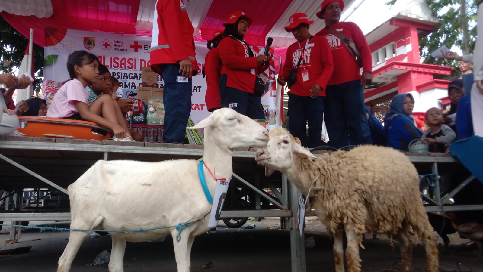 Tarik Minat Peserta, Sosialisasi Kebencanaan di Jember Berhadiah Kambing dan Ayam