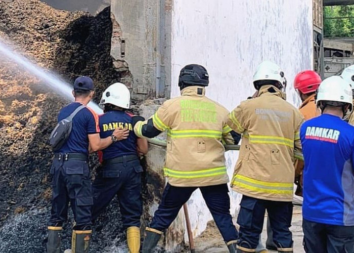 Sebelas Bulan Terjadi 70 Kebakaran di Bondowoso, Terbanyak Akibat Korsleting Listrik