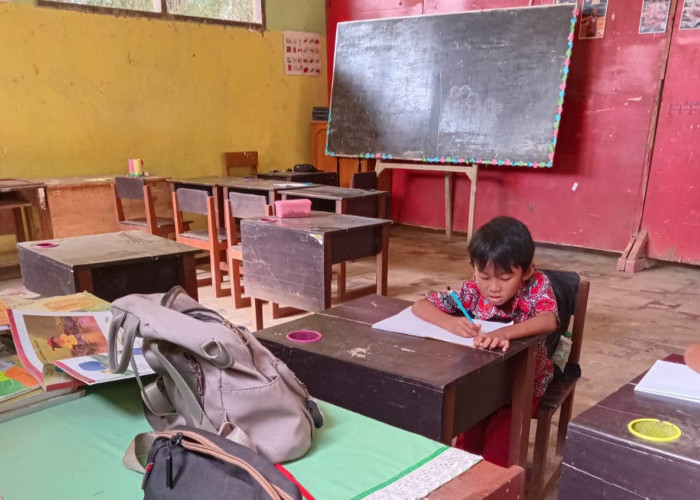 SDN di Jember Hanya Dapat Satu Siswa Baru