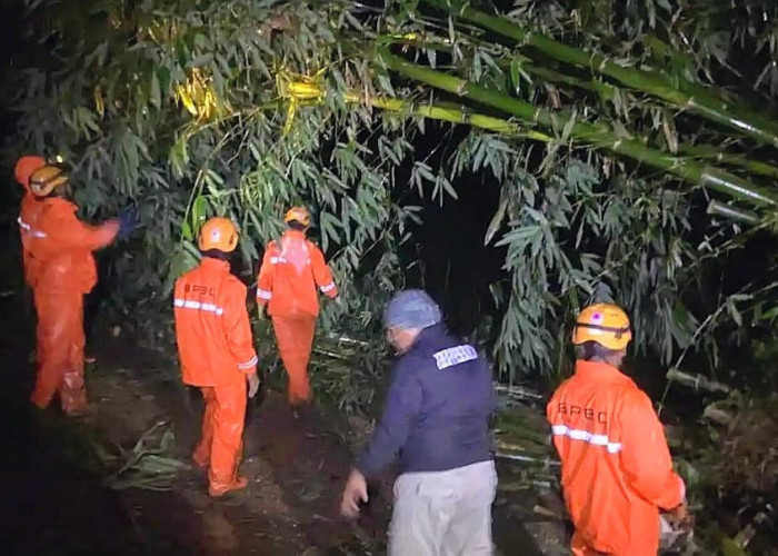 Longsor Akibat Hujan Deras Tutup Jalan Penghubung Dua Desa di Pakem Bondowoso 