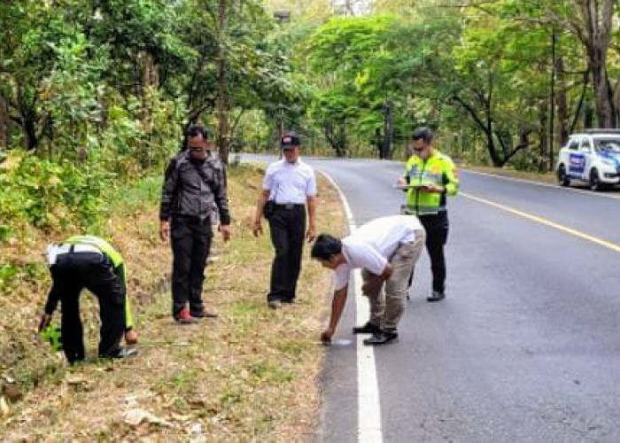 Sekeluarga Naik Motor Ditabrak Pikap di Baluran Situbondo, 2 Anak Meninggal dan Bapak Ibu Terluka