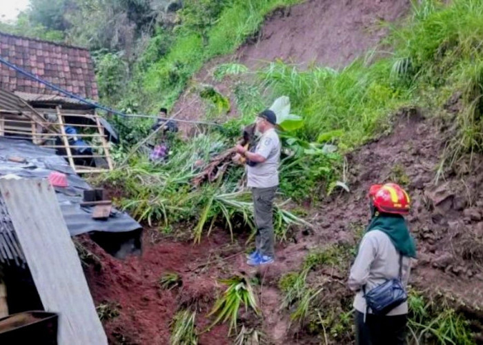Tebing Longsor di Situbondo, Satu Rumah Tertimpa dan Seorang Warga Tertimbun tapi Selamat 