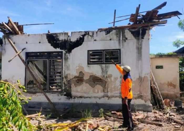 Diduga Kayu Rapuh Dimakan Usia, Atap Musala di Situbondo Ambruk
