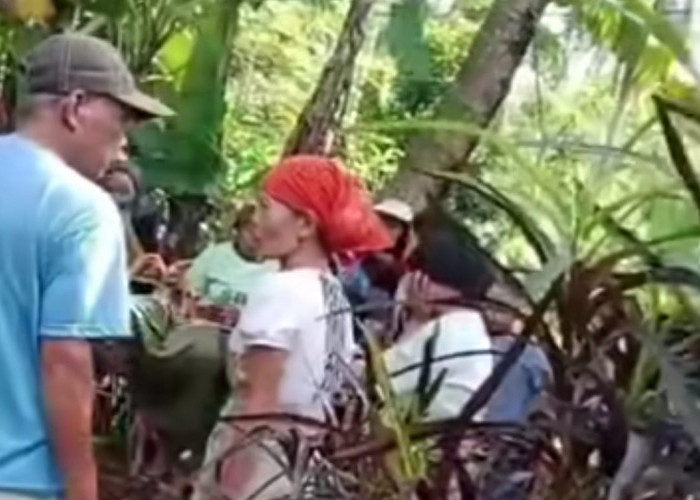 Ibu Kandung di Jember Diduga Aniaya Bayi Baru Dilahirkan Hingga Tewas