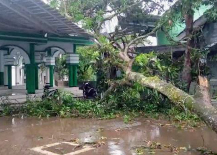Hujan Angin Porak Porandakan Ratusan Rumah pada Delapan Kecamatan di Bondowoso