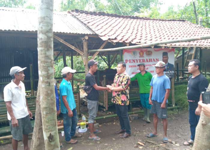 Serahkan Bantuan Sapi, Anggota DPRD Jatim Minta Jangan Dijual Tapi Dikembangkan