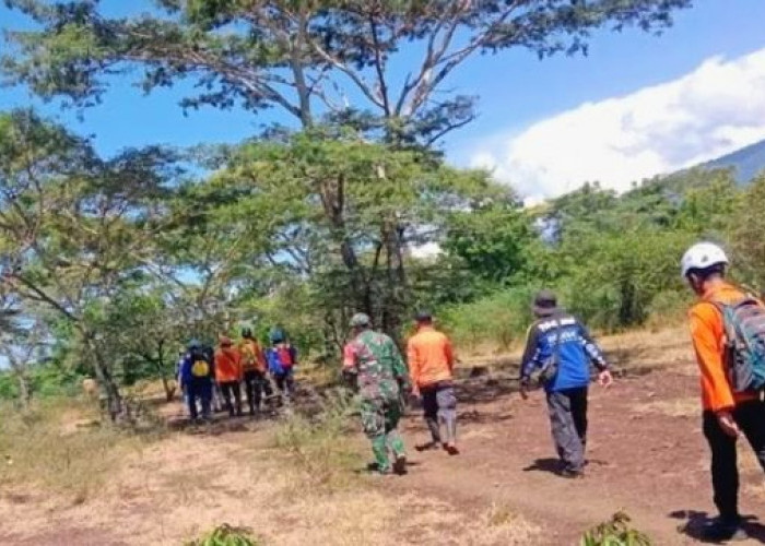 Kakek di Situbondo Hilang Saat Menggembala Sapi di Hutan Taman Nasional Baluran