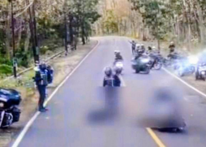 Viral, Rombongan Moge Tabrakan di Jalan Raya Baluran Situbondo, Satu Pengendara Tewas 