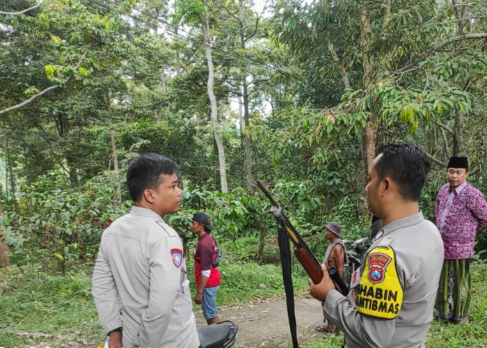 Monyet Liar Serang Warga Jember, Enam Orang Luka Akibat Gigitan