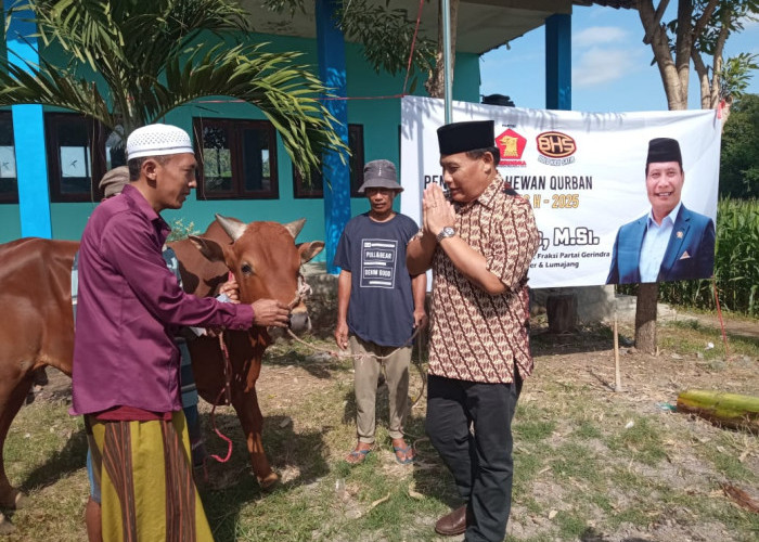 Anggota DPRD Jatim H. Satib Salurkan  Hewan Qurban ke Ponpes