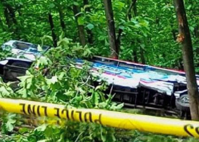 Bus Anggun Krida Jatuh ke Jurang di Perbatasan Bondowoso - Situbondo, Sopir dan Kenek Luka Parah