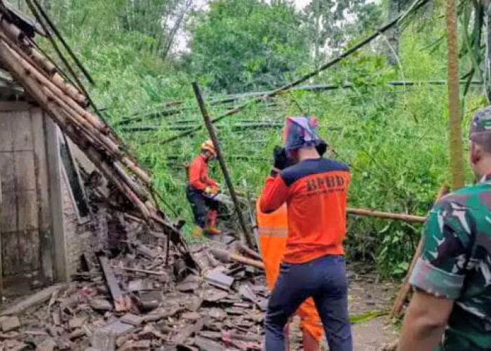 BPBD Bondowoso Catat 68 Rumah Rusak Diterjang Hujan Angin di Dua Kecamatan