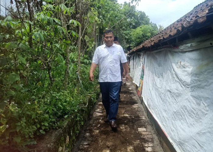 Komisi D DPRD Jatim Atasi Banjir Jember, Akan Pasang Bronjong dan Bangun Dinding Penahan Tanah