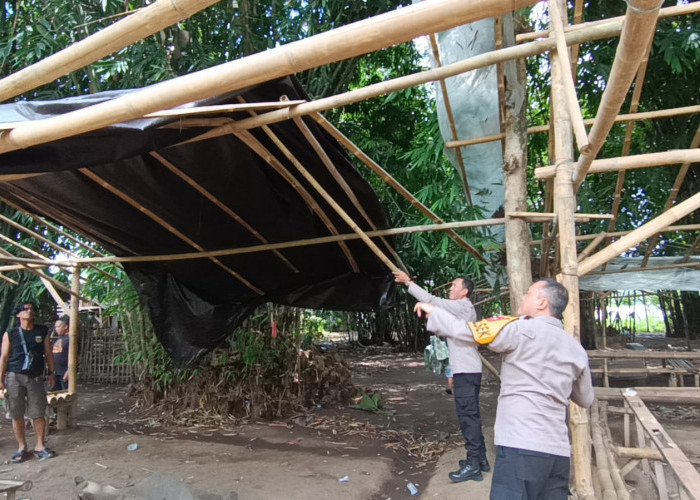 Lima Lokasi Arena Sabung Ayam Dibongkar Polisi