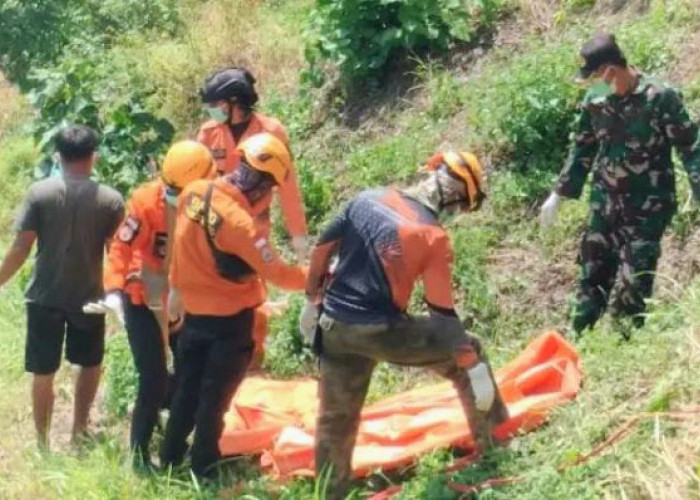 Nenek Pikun Menghilang dari Rumah di Bondowoso Ditemukan Tewas dalam Jurang 