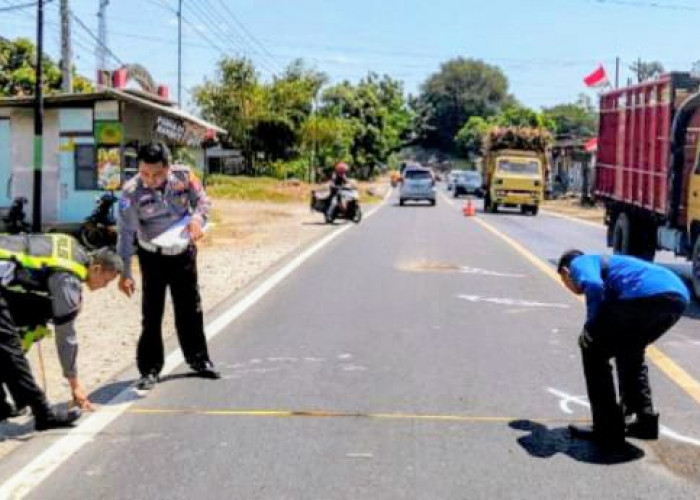 Tabrakan Adu Banteng Honda Kontra Suzuki di Pantura Situbondo, Dua Pemotor Meninggal Dunia
