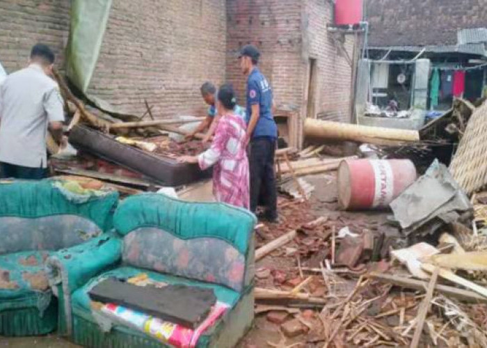 Angin Kencang Terjang 3 Kecamatan di Bondowoso, 2 Rumah Rusak dan 2 Pohon Tumbang