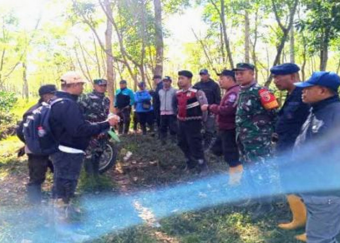 PTPN 1 Laporkan Perusakan Kebun Kopi di Ijen ke Polres Bondowoso