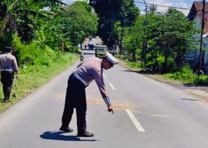 Dua Motor Honda Adu Banteng di Jalan Raya Bondowoso - Jember, Seorang Petani Tewas