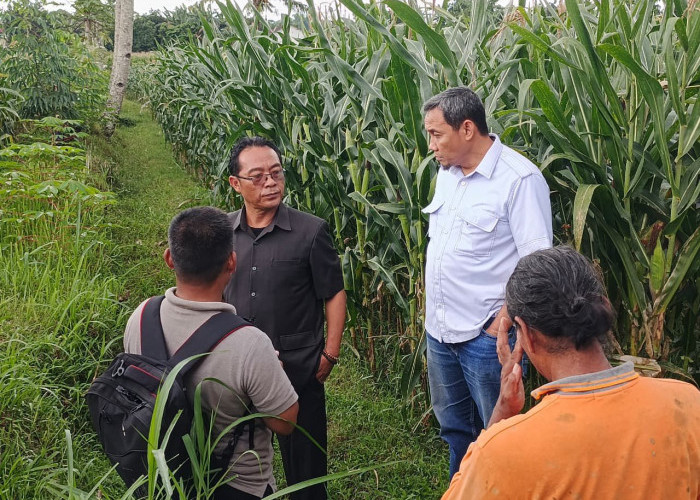 DPRD Jember Sidak Saluran Irigasi Tak Berfungsi Baik Akibat Bangunan Perumahan