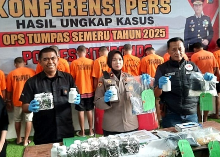 Tumpas 11 Pengedar Narkoba di Situbondo, Polisi Sita Sabu dan Pil Koplo