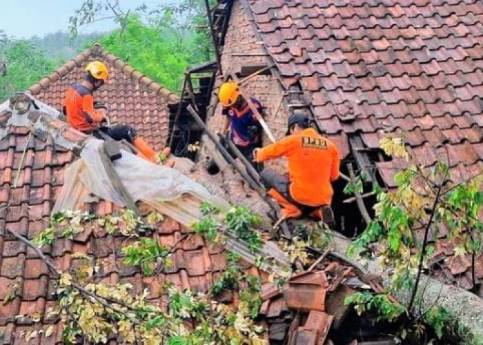 152 Bencana Landa Bondowoso Sepanjang Januari - November 2024, Didominasi Angin Kencang