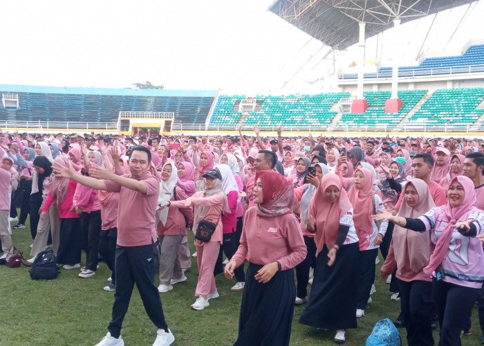 Nuansa Pink, 8.344 PPPK Paruh Waktu Terima SK di Stadion JSG