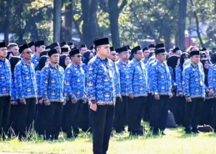4.518 Pegawai Non ASN Pemkab Bondowoso Diusulkan Jadi PPPK Paruh Waktu 
