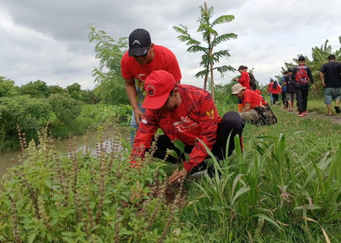 PDI Perjuangan Jember Tanam 1.053 Pohon dari Hulu ke Hilir