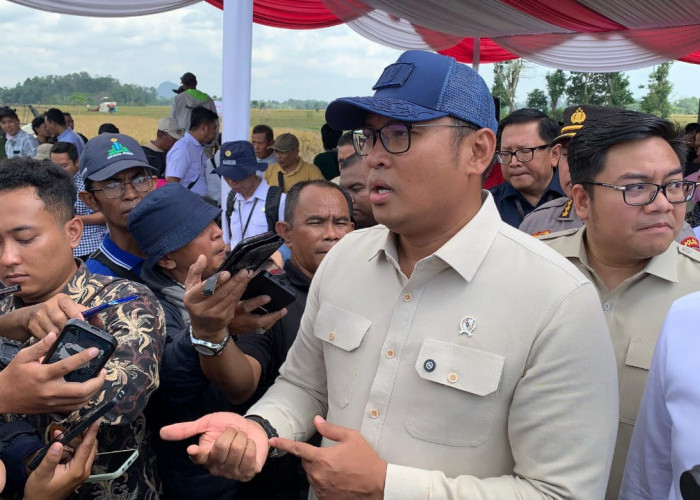 Wamentan Tegaskan Naikkan Produksi Pertanian Tak Perlu Buka Lahan Baru