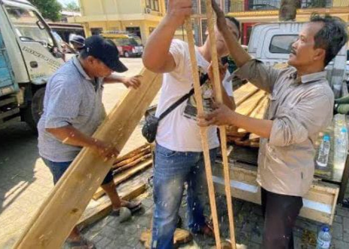 Tiga Warga Situbondo Hendak Jual 58 Papan Kayu Jati Ilegal Ditangkap Polhut dan Polisi 