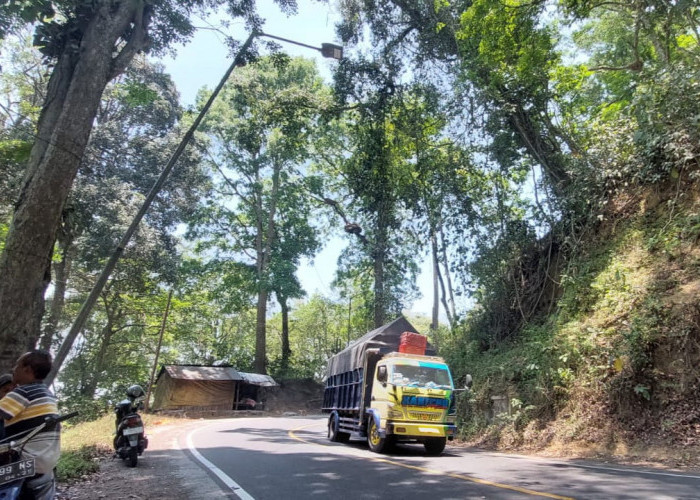 Jalur Gumitir Akan Ditutup Total, Komisi C DPRD Jember Minta BBPJN Kaji Ulang