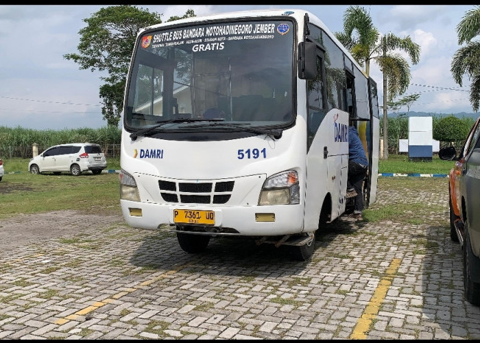 Penumpang Pesawat Rute Jember-Jakarta Lebih 50 Persen, Bupati Fawait Siapkan Shuttle Bus Gratis