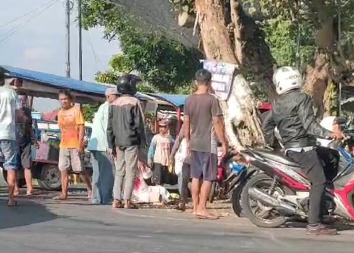 Hindari Motor, Kereta Kelinci Muatan Puluhan Siswa TK di Jember Terguling
