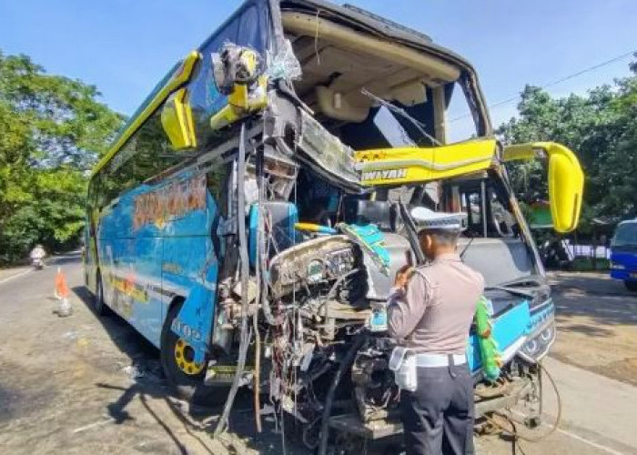 Adu Banteng Bus Lawan Truk di Pantura Situbondo, Ayah dan Anak Meninggal Dunia